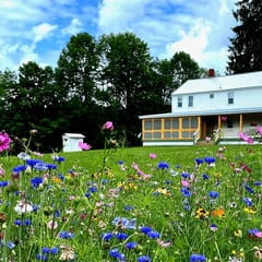 French Woods Farmhouse